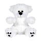 8 Plush Bear / Stuffed Animal with Shirt