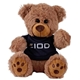 8 Plush Bear / Stuffed Animal with Shirt