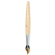 Paint Brush Ball Pen