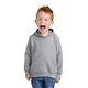 Port Company(R) Toddler Core Fleece Pullover Hooded Sweatshirt - COLORS