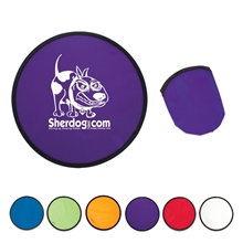 Folding Flyer With Case