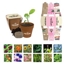 Mini Blossom Kit with Biodegradable Pot