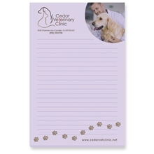 Souvenir(R) Sticky Note(TM)TaskRight 4 x 6 Pad, 25 Sheet