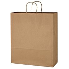 Kraft Paper Brown Shopping Bag - 16 x 19