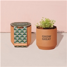 Modern Sprout(R) Tiny Terracotta Grow Kit Good Luck Clover