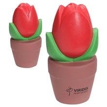 Tulip In Pot - Stress Reliever