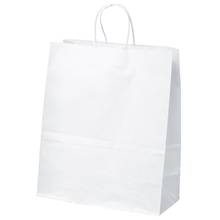 White Kraft Citation Paper Bag ColorVista - Pride